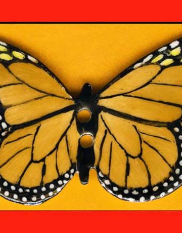 Papillon I Canvas