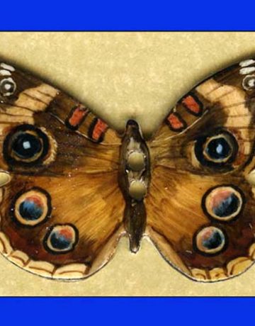 Papillon II Canvas