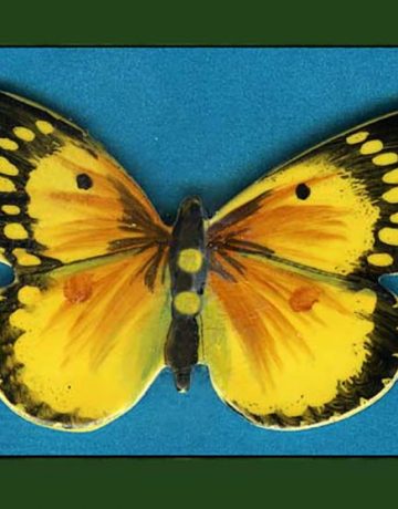Papillon III Canvas
