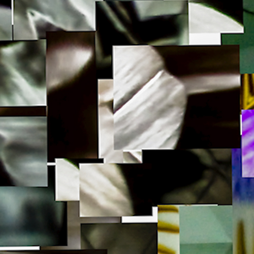 Cinquentinha Kalei IIb